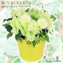 造花アレンジメント Ivy Wreath (アイビーリース) ライム