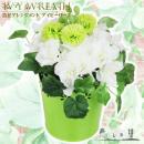 造花アレンジメント Ivy Wreath (アイビーリース) ホワイト